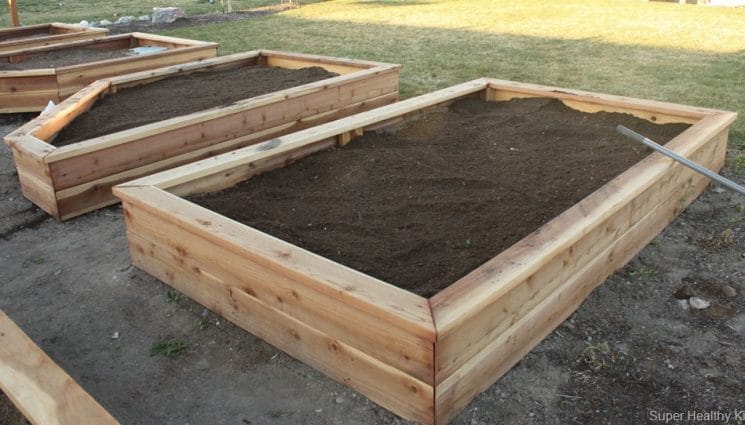 Garden Boxes