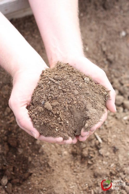 Soil