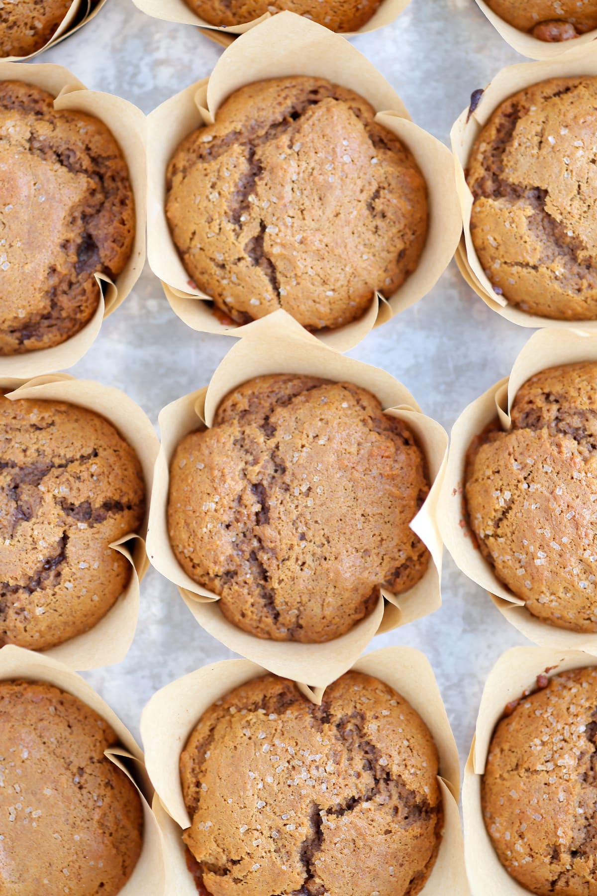 An overhead shot of gingerbread muffins topped with coarse sugar in a baking pan lined with paper liners. 