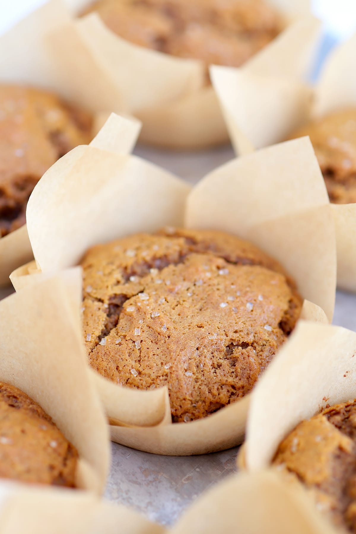 A gingerbread muffin topped with coarse sugar baked in a brown paper liner. 